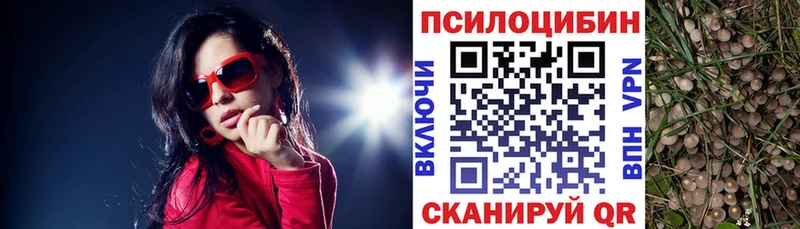 Купить закладки  Шахты  Галлюциногенные грибы Psilocybe 